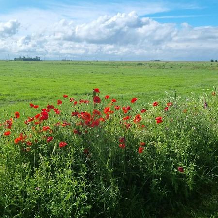 Lyklamastate Nijemirdum ภายนอก รูปภาพ