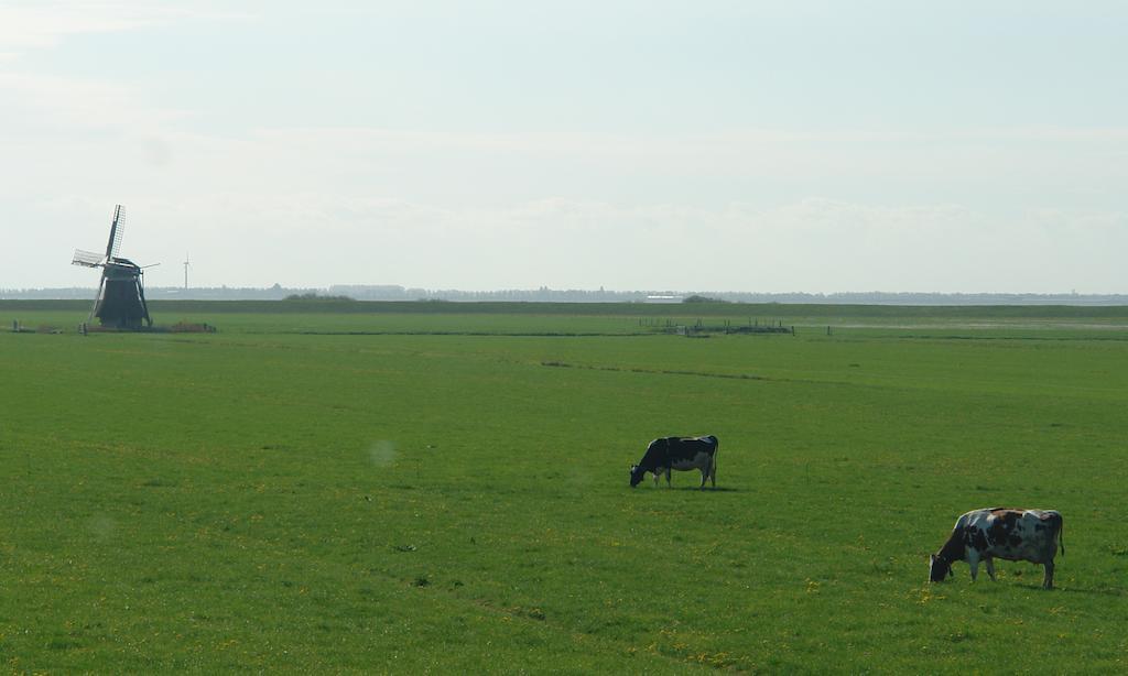 Lyklamastate Nijemirdum ภายนอก รูปภาพ