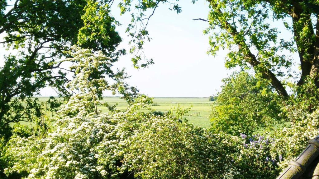 Lyklamastate Nijemirdum ห้อง รูปภาพ